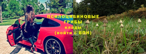 скорость Абаза
