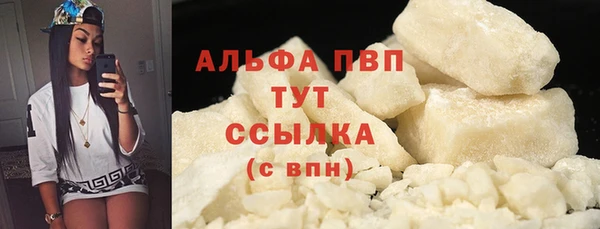 индика Козельск