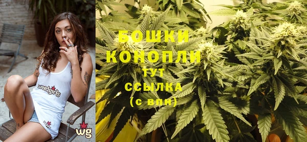 мдпв Кодинск